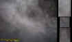 swingectoplasm.jpg (21377 bytes)