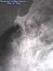 entranceectoplasm1.jpg (24654 bytes)