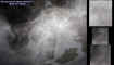 entranceectoplasm.jpg (27804 bytes)