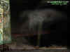 dockmist.jpg (26522 bytes)