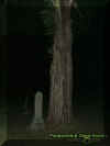 treegrave1.jpg (17165 bytes)