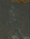 creatureenlargement.jpg (11604 bytes)