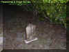 treegrave.jpg (41059 bytes)