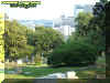 cityview.jpg (62454 bytes)