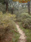 daytimeblackbeartrail.jpg (62208 bytes)