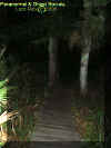 boardwalk.jpg (31279 bytes)