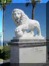 lionball1.jpg (12070 bytes)