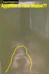 Asylumfloorghost.jpg (25158 bytes)