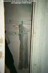 asylumcloset.jpg (36967 bytes)