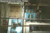 asylumkitchen.jpg (50075 bytes)