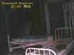 zasylum2beds.jpg (28569 bytes)