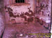 zbathroom3.jpg (46433 bytes)