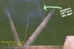 zhighupatticectoplasm.jpg (59442 bytes)