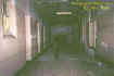zpetewalking.jpg (43520 bytes)