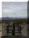 bullfrogcemeteryday.jpg (21170 bytes)