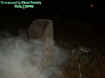 2005rootectoplasm.jpg (26368 bytes)