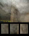 0barnfaces1.jpg (35712 bytes)