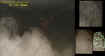 0cowbarnfaces.jpg (34661 bytes)