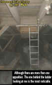 0ladderapparition.jpg (39645 bytes)
