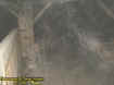 0ladderecto2.jpg (23700 bytes)