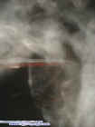 steamboatectoplasm2.jpg (15325 bytes)