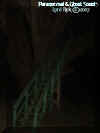 treehouse.jpg (19210 bytes)