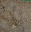 2005dirthole.jpg (103052 bytes)