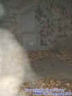 0crematoryecto.jpg (23688 bytes)