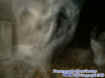 0ectoplasm1.jpg (19399 bytes)