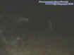 0lightmist.jpg (13067 bytes)