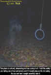 0tireswingapparition.jpg (46370 bytes)
