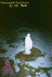 marystatue.jpg (39039 bytes)