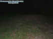 mound1.jpg (25885 bytes)