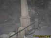 familyplotecto.jpg (19968 bytes)