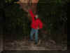 ricktree.jpg (26836 bytes)