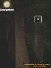 tantreeorb.jpg (22335 bytes)