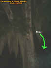 treeecto3.jpg (22341 bytes)