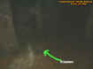treeectocomingtowardsme1.jpg (21759 bytes)