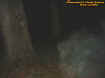 treeectocomingtowardsme.jpg (22955 bytes)