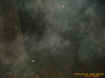 treehugemassecto.jpg (39692 bytes)