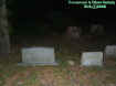 holinessgraves1.jpg (31475 bytes)