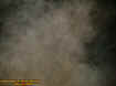 2lhugemass4.jpg (30413 bytes)