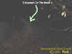 0ectomoving.jpg (21736 bytes)