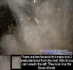 0marksfirstectoshot.jpg (45761 bytes)