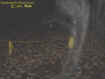 0oddentity.jpg (35711 bytes)