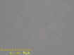 roadectoplasm.jpg (9520 bytes)