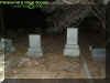 treestones.jpg (33043 bytes)