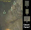 canyonfaces.jpg (31089 bytes)