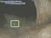 rockorb.jpg (21625 bytes)