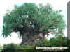 treeoflife2.jpg (71718 bytes)